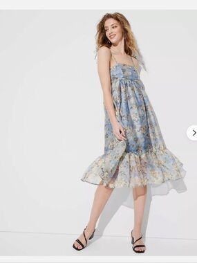 Organza Midi Babydoll Dress - Wild Fable